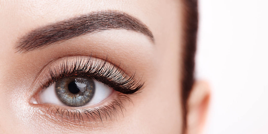 Rolling Brows (2 Tage)